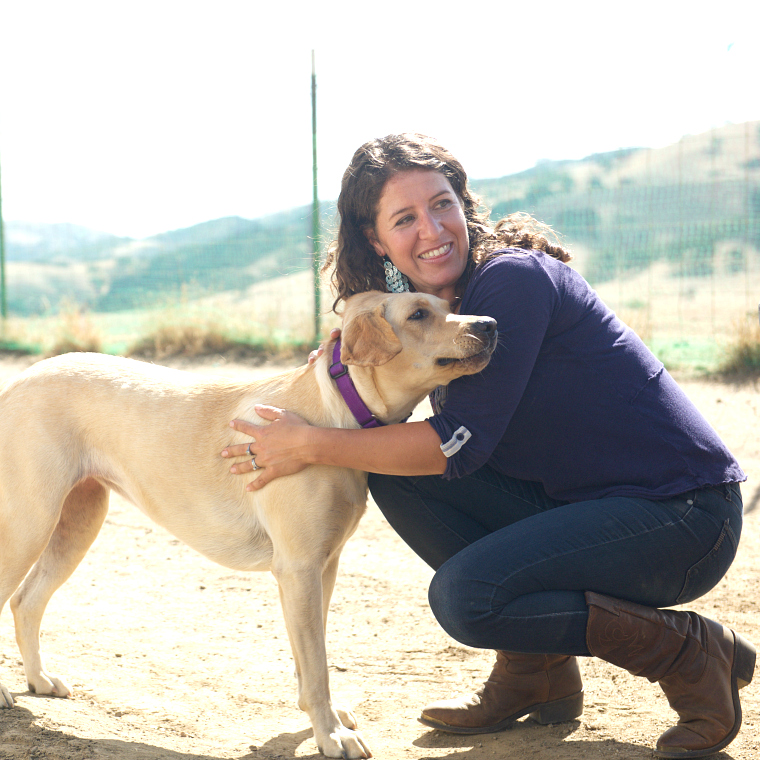 Interview with Cupcake Vineyards winemaker, Jessica Tomei