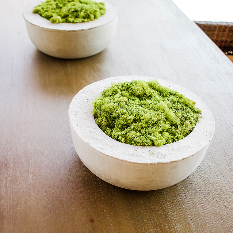 concrete moss bowls